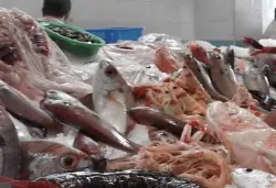 آسفي: بعد الجدل الدائر بخصوص وحدة لتلفيف الأسماك.. جهات مطلعة توضح
